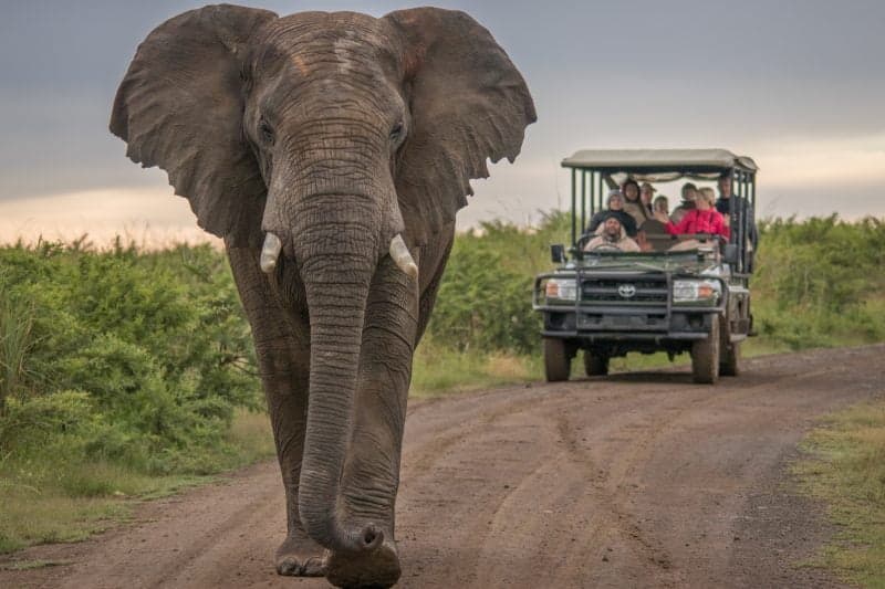Moře a safari 1
