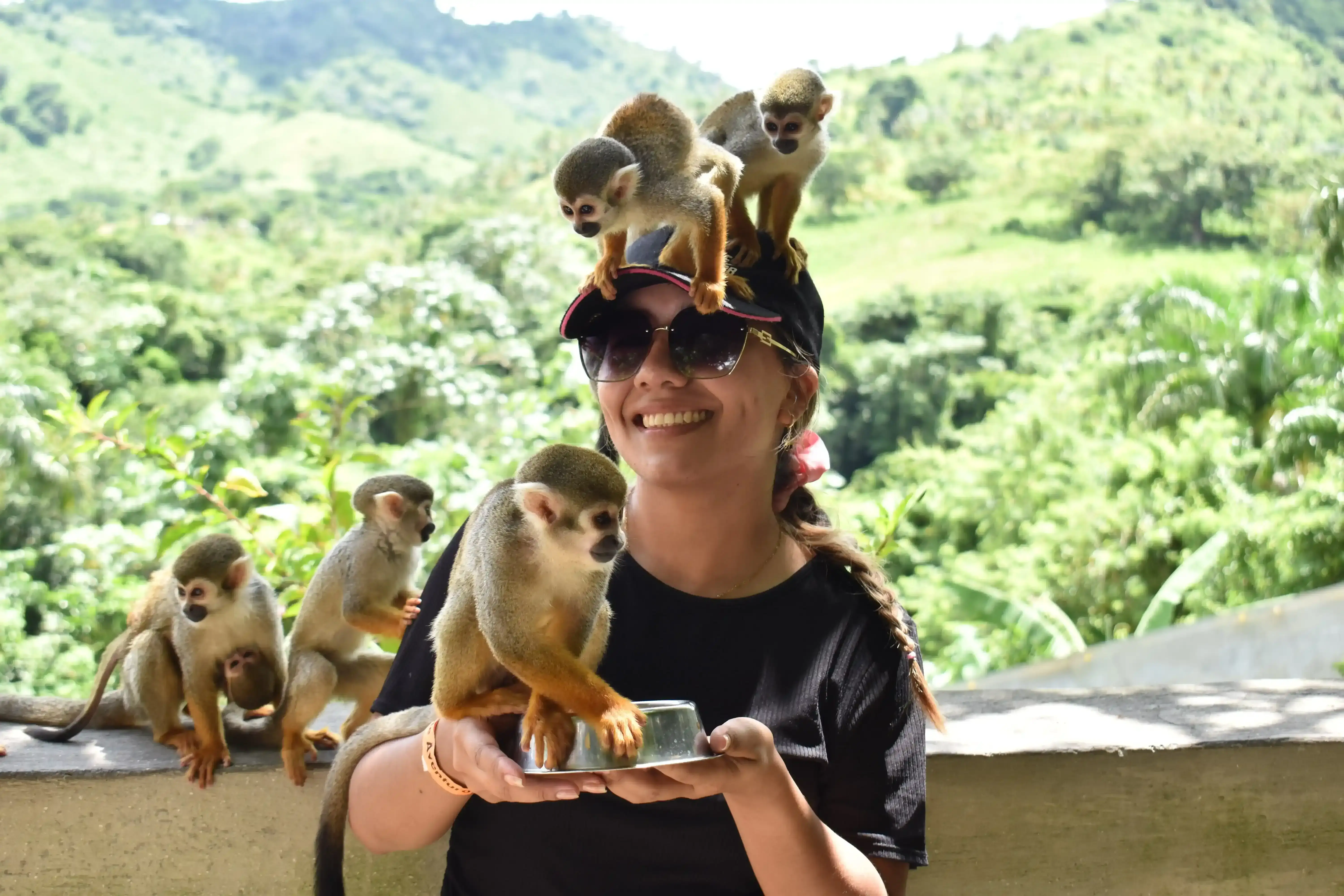 Moře a safari 3